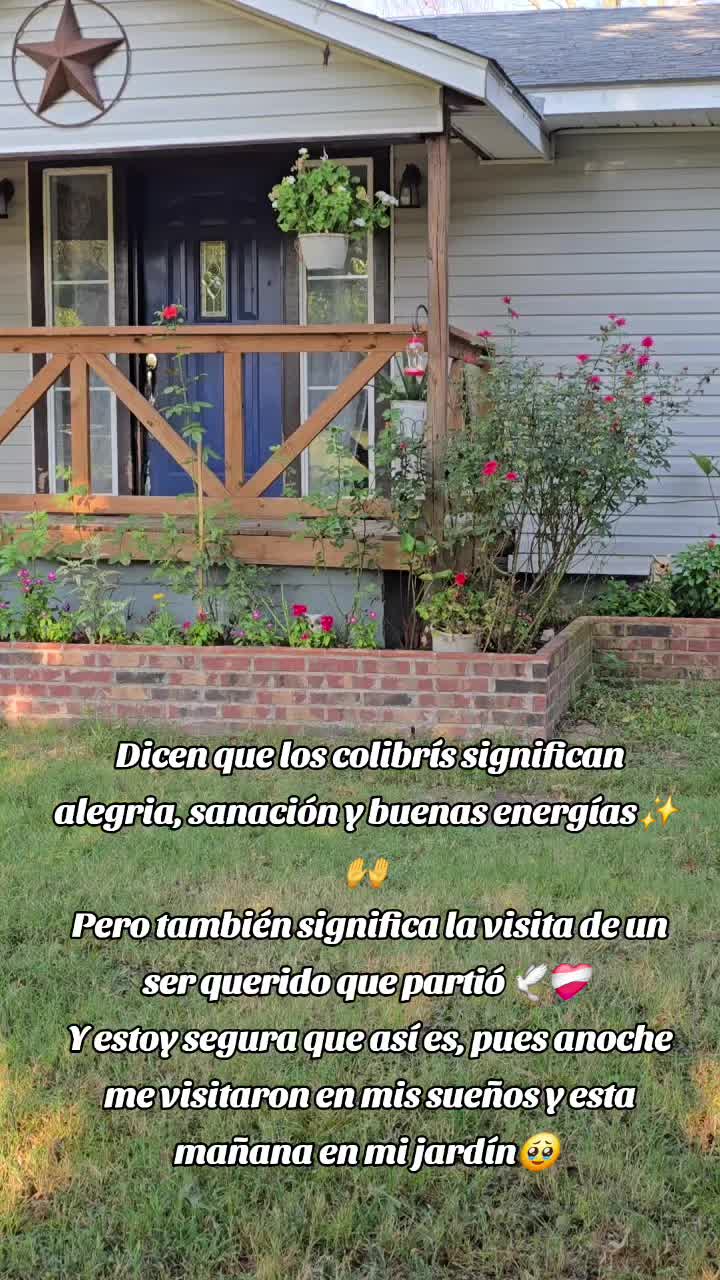 @.V🌻