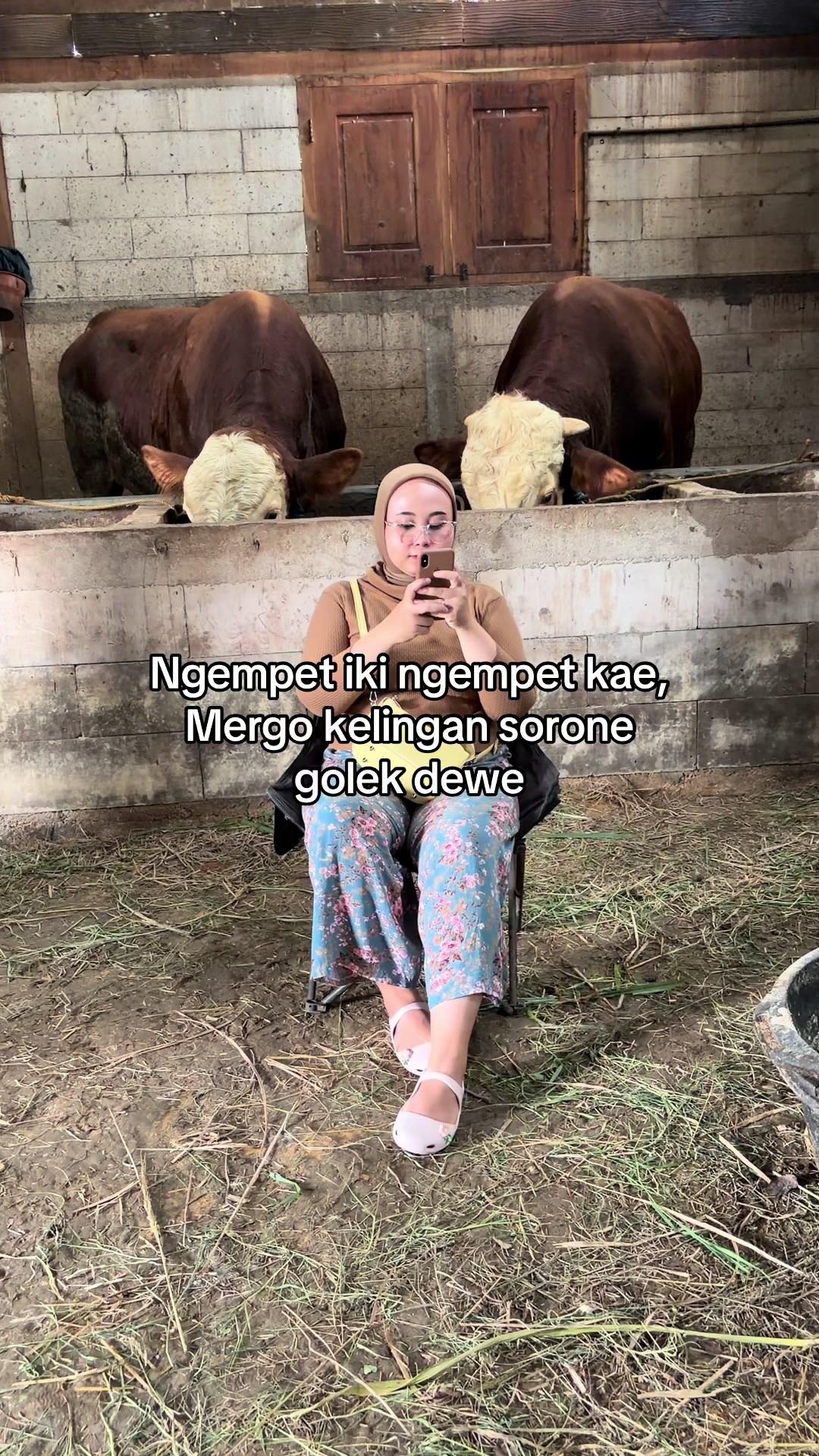 @zero farm