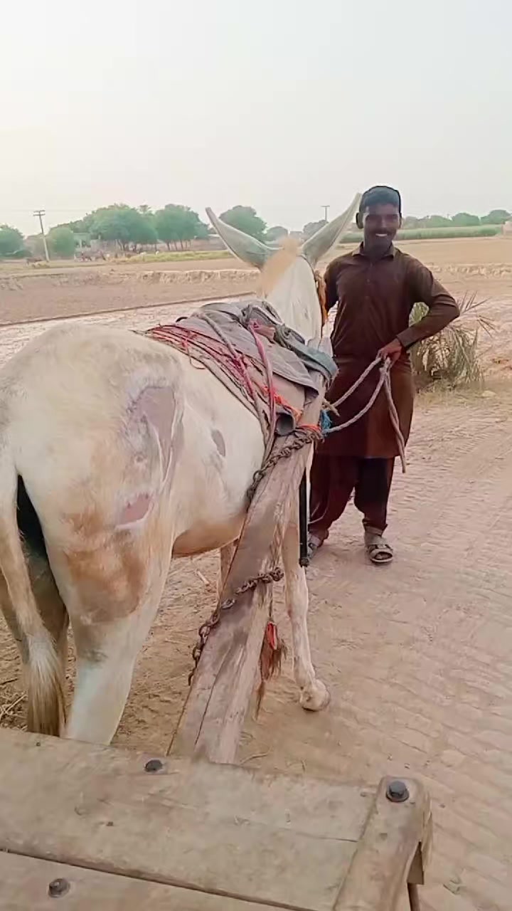 @salmanbrand33