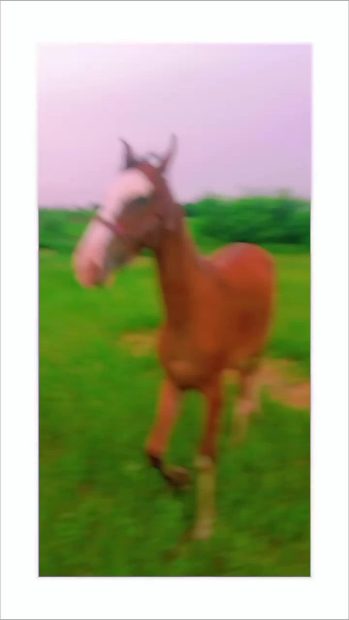 @Màlík Hàsñåt Jàïsåk❣️