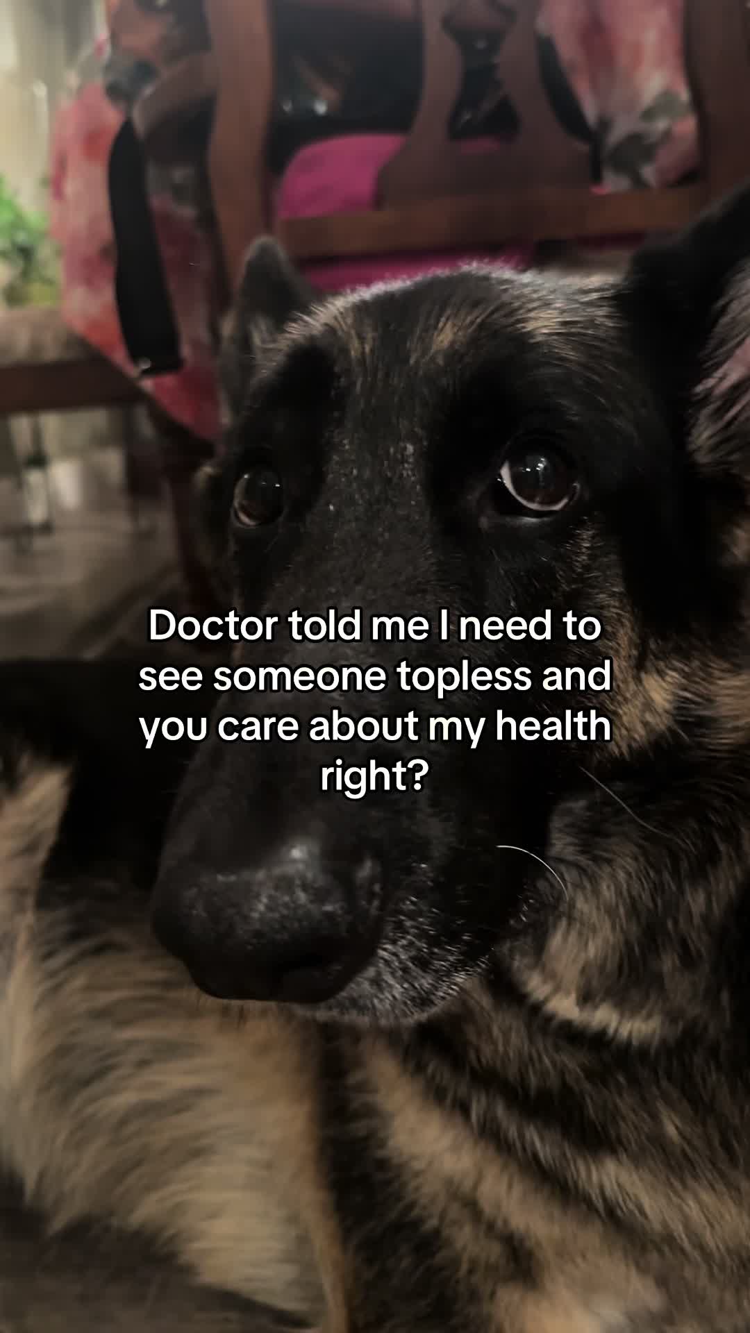 @Bhris