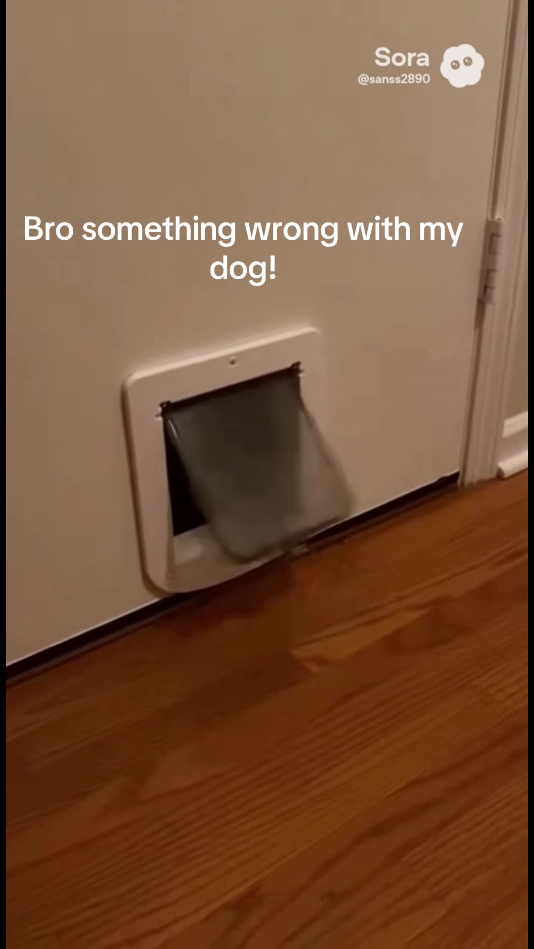 @Toastface