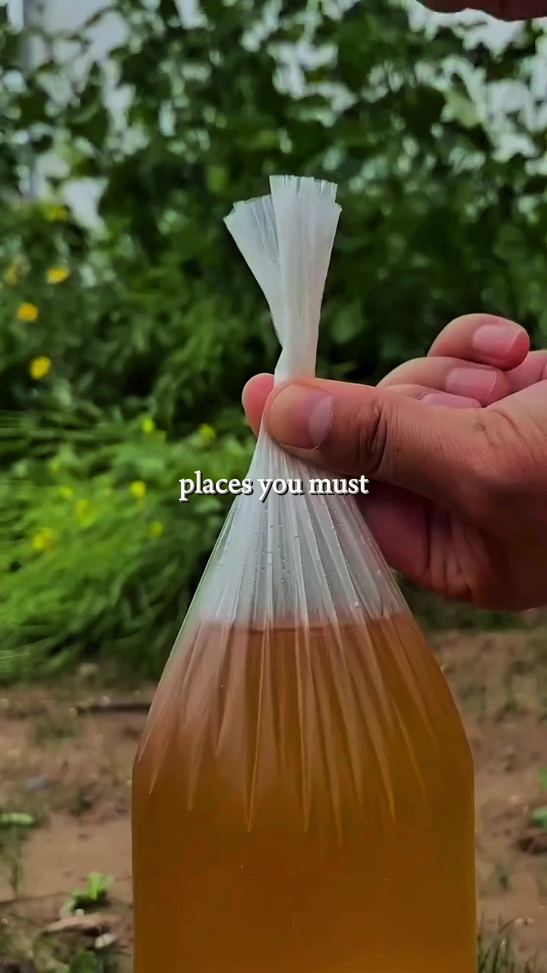 @thesuccesminds