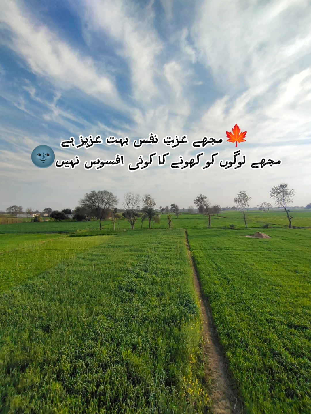 @ANS CHOUDHARY ๐