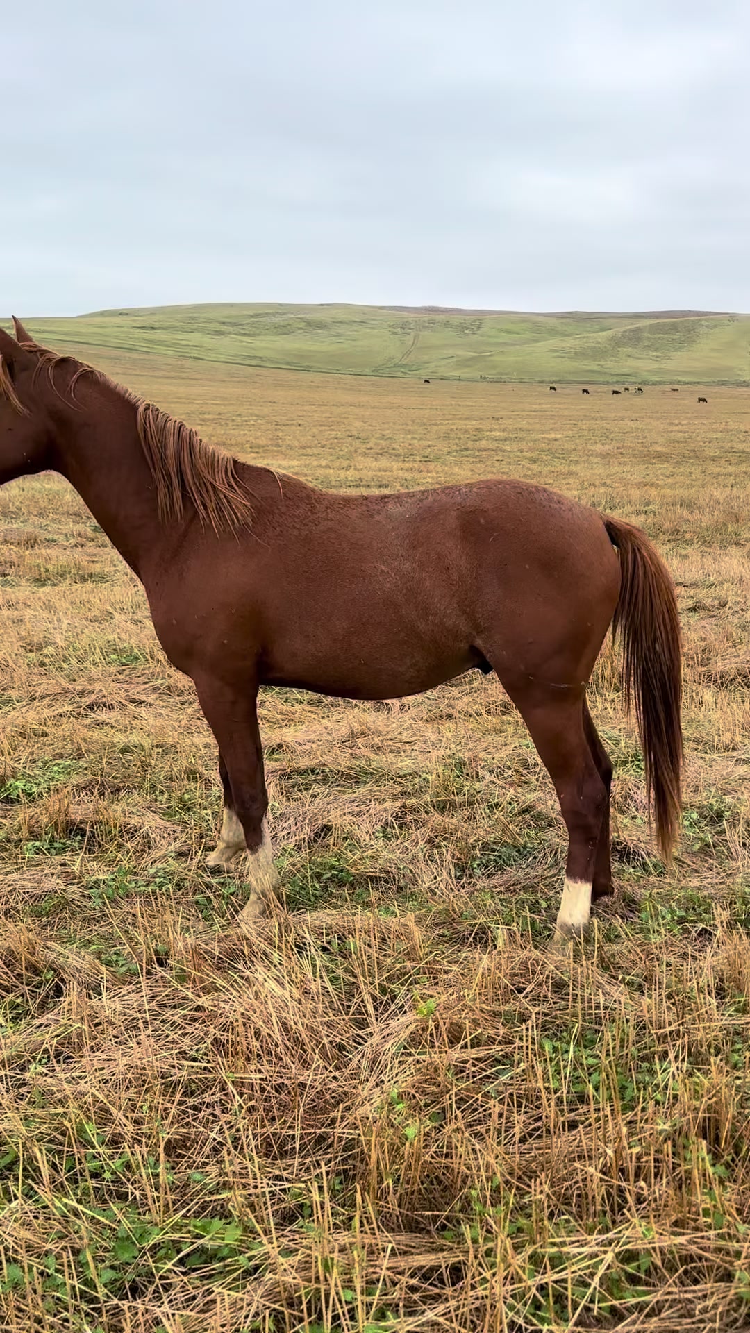 @MakvinStud
