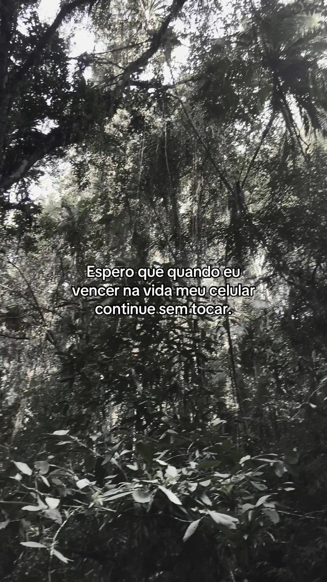 @ogenblack