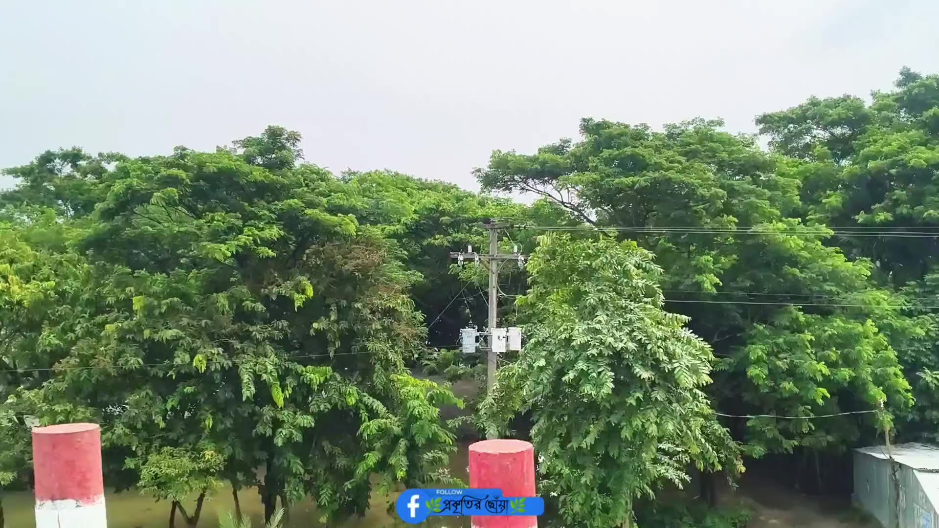@🍃🕊️ ”প্রকৃতির ছোঁয়া” 🕊️🍃
