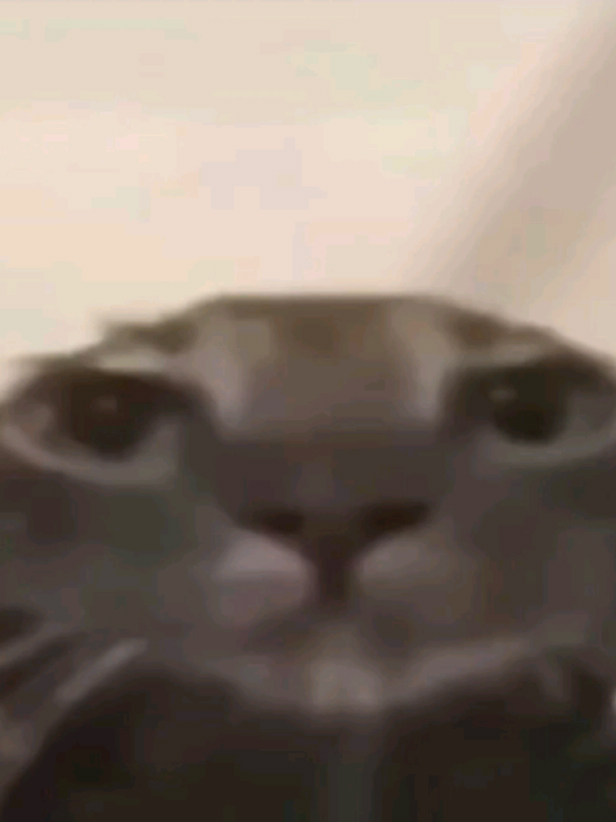 @ˑ 𓈒 𐔌🎀 𝐋𝐄┃𝐋𝐄ˑ🎀  ͡꒱ ۫