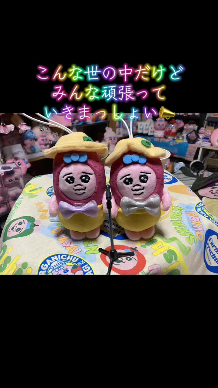 @ぱんちゅ一丁🐽🎶🌼