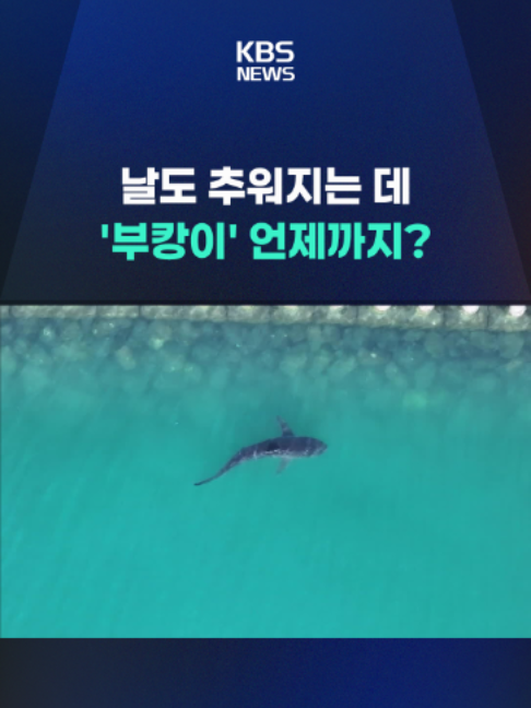 @KBSNEWS