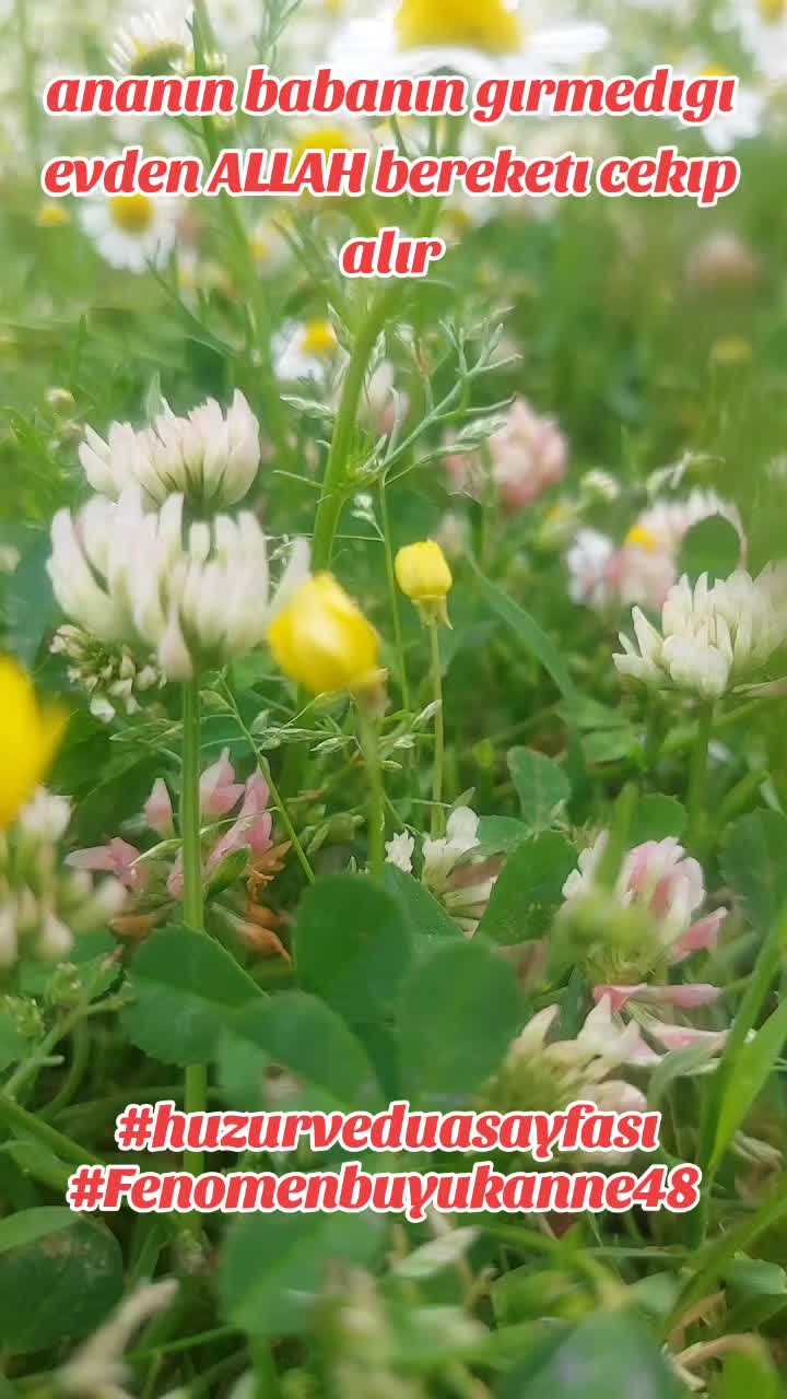 @Fenomenbuyukanne48