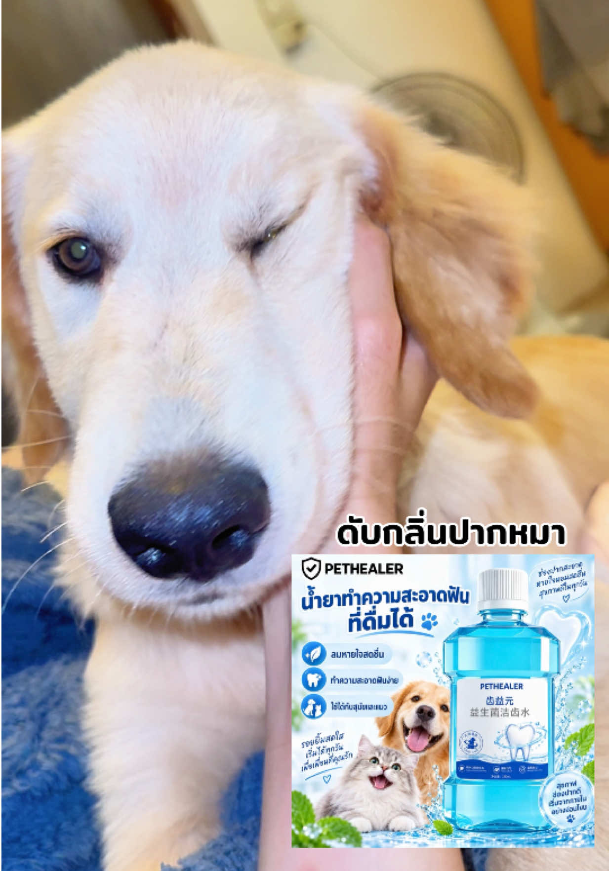 @มี๋ หมี๋