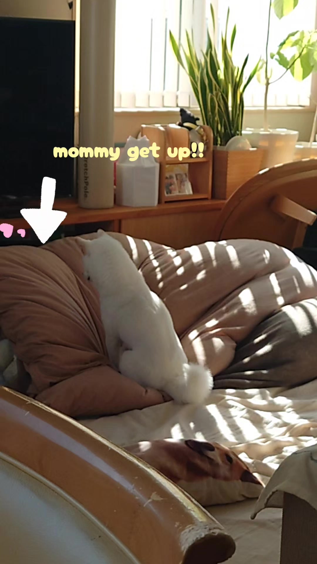 @Mochimaru