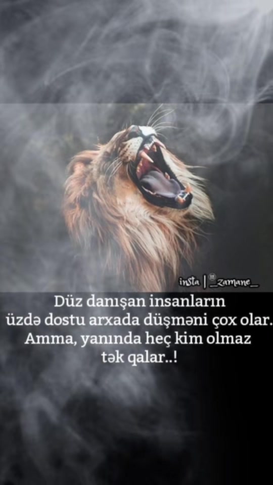 @Nur Şahgəldi