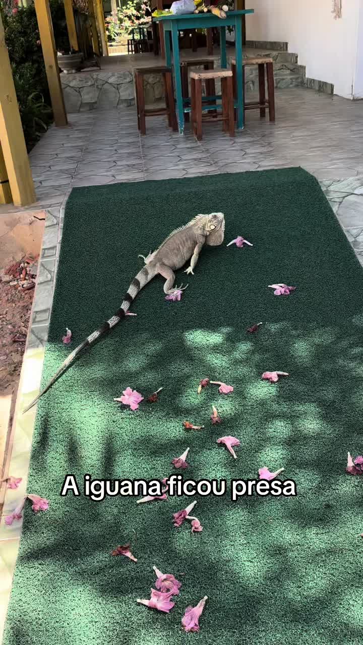 @Raquel Rocha