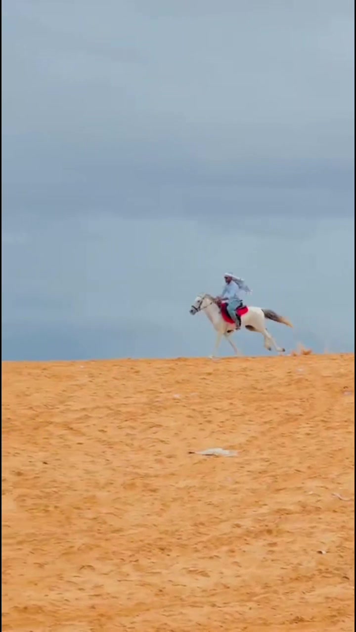 @Duliyaha🐎diyaradadhulka🇸🇴🐎