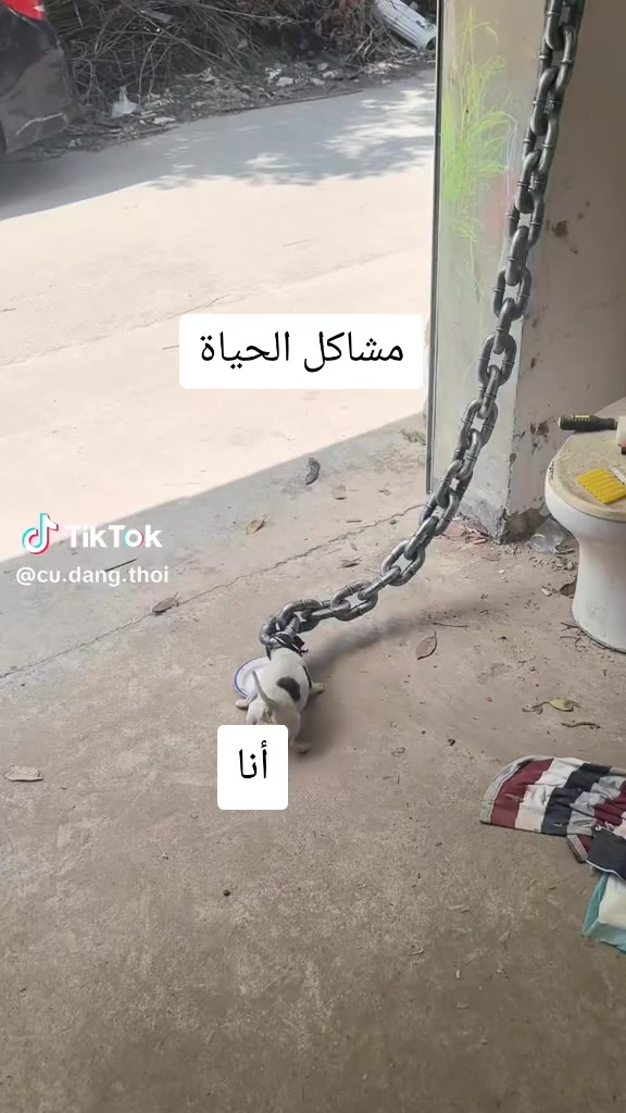 @Shady | شادي 🇹🇳