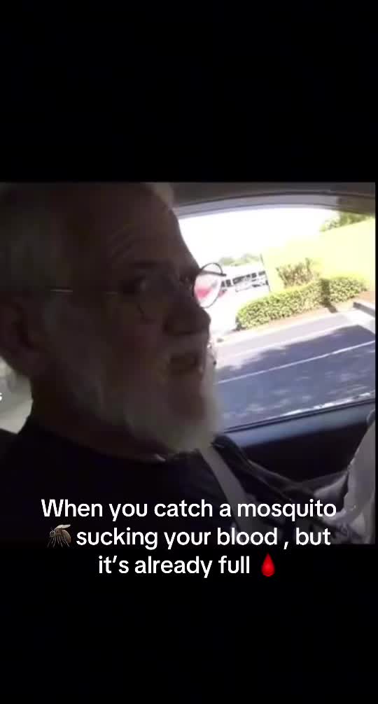 @Ulu 99782