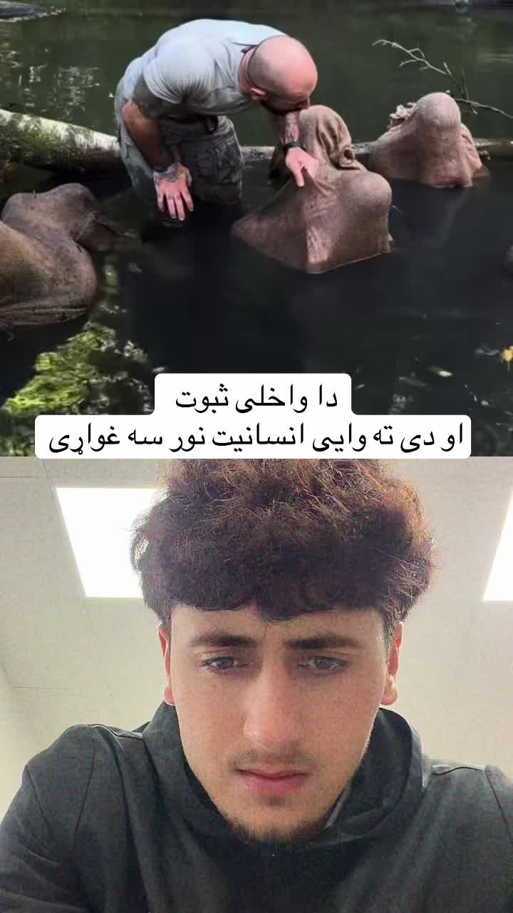 @ghamai