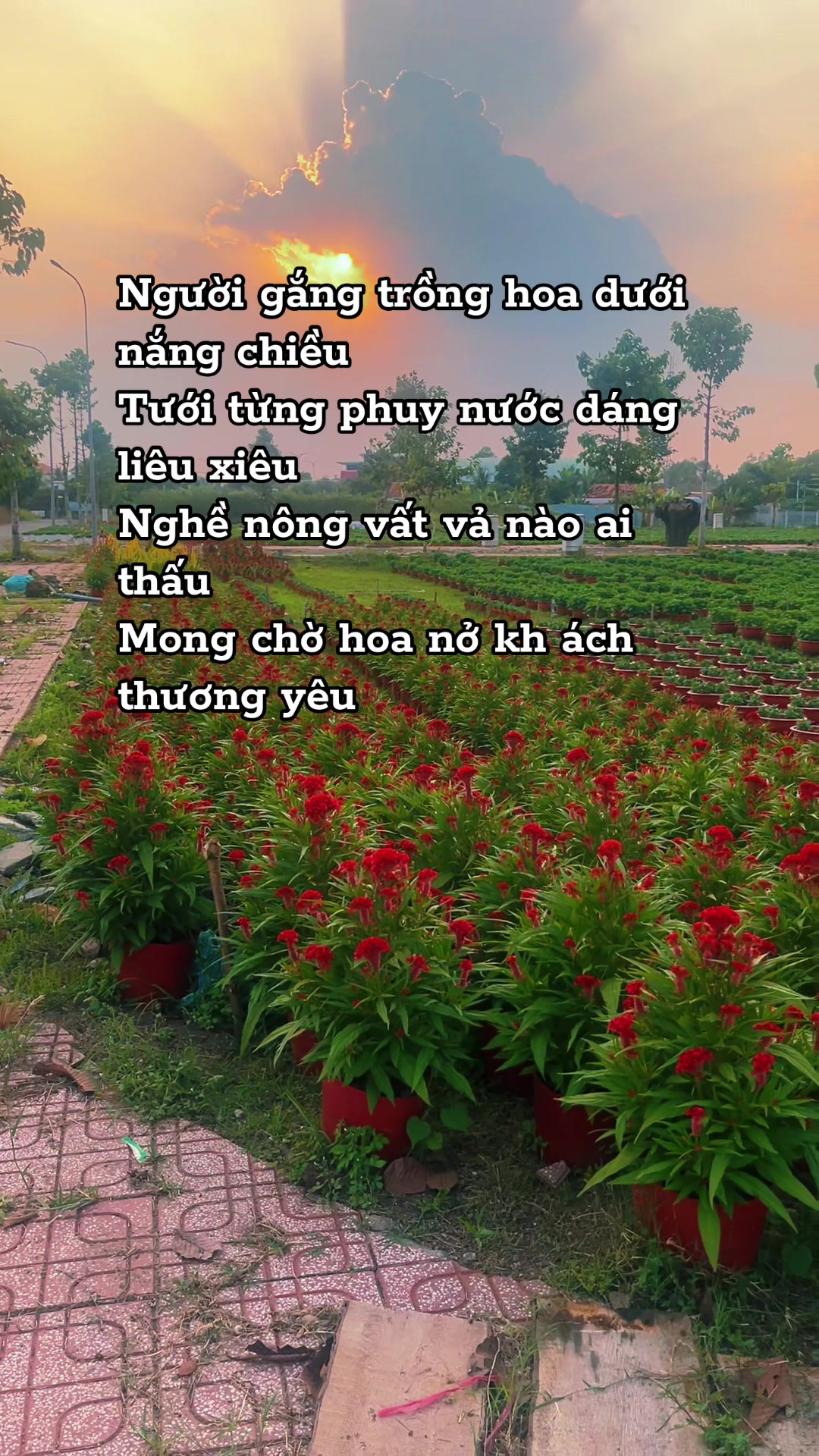 @Alo Yến ơi