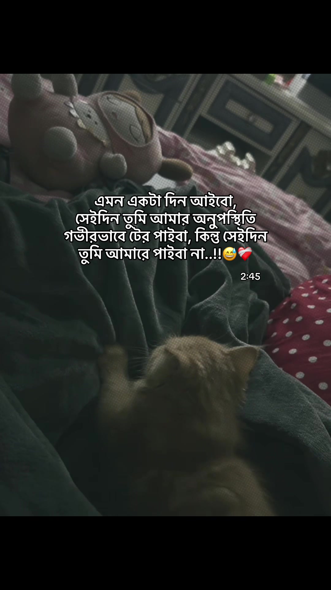 @Safa