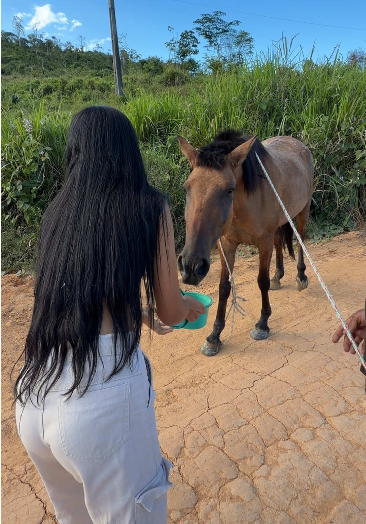 @irmasterraoficial