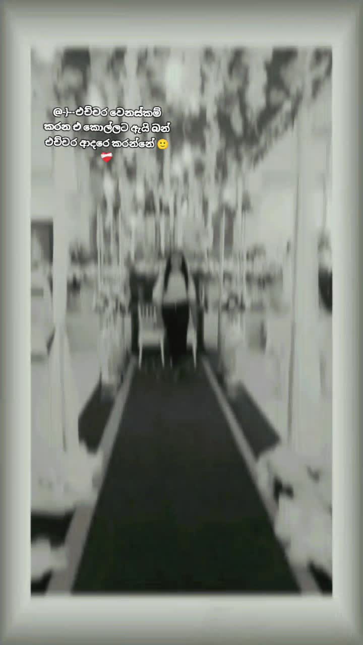 @[sachii]🧸❤️&zwj;🩹📌️🥀