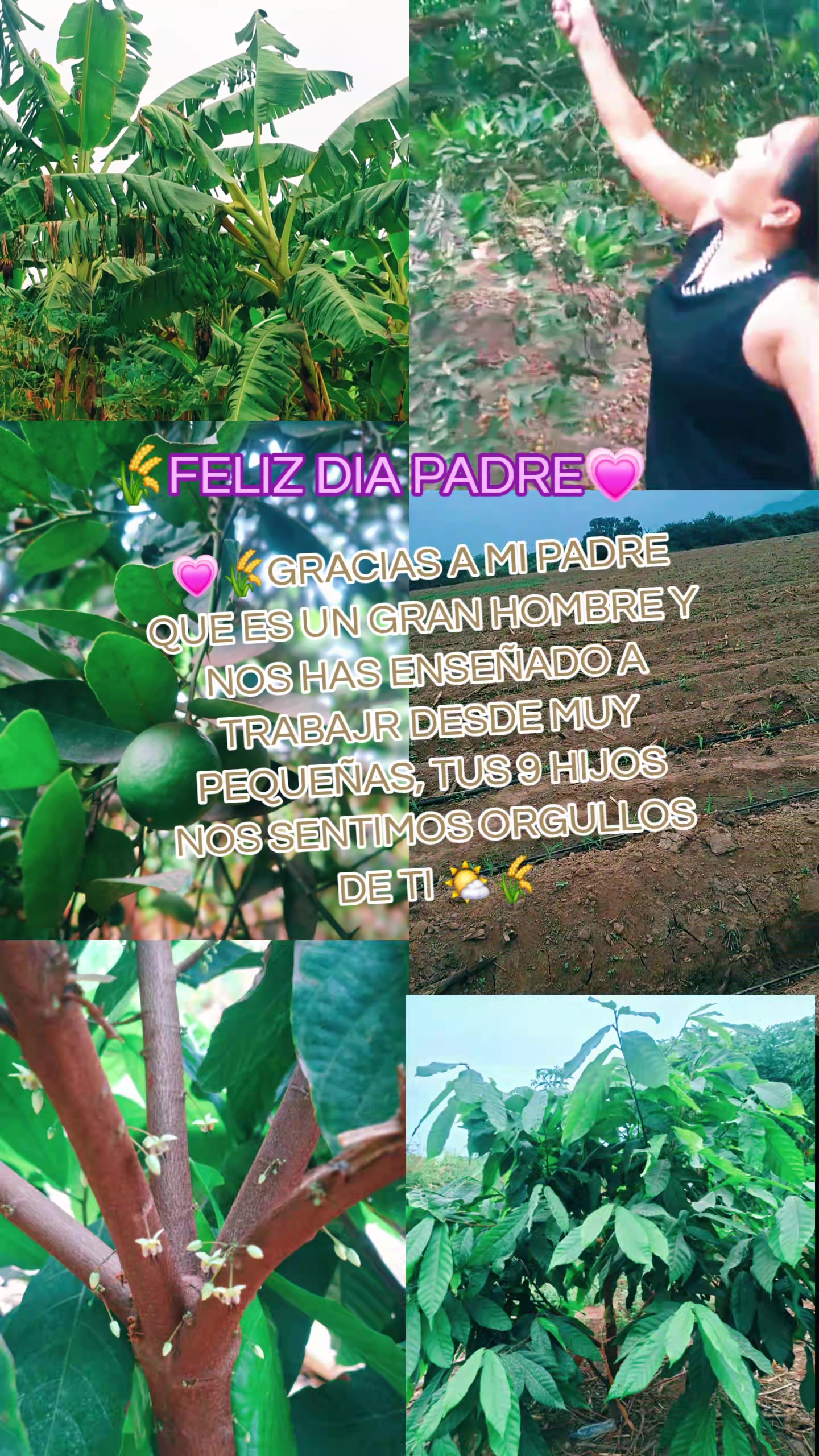 @MARL&Iacute; HERNANDEZ M 🌻🦋