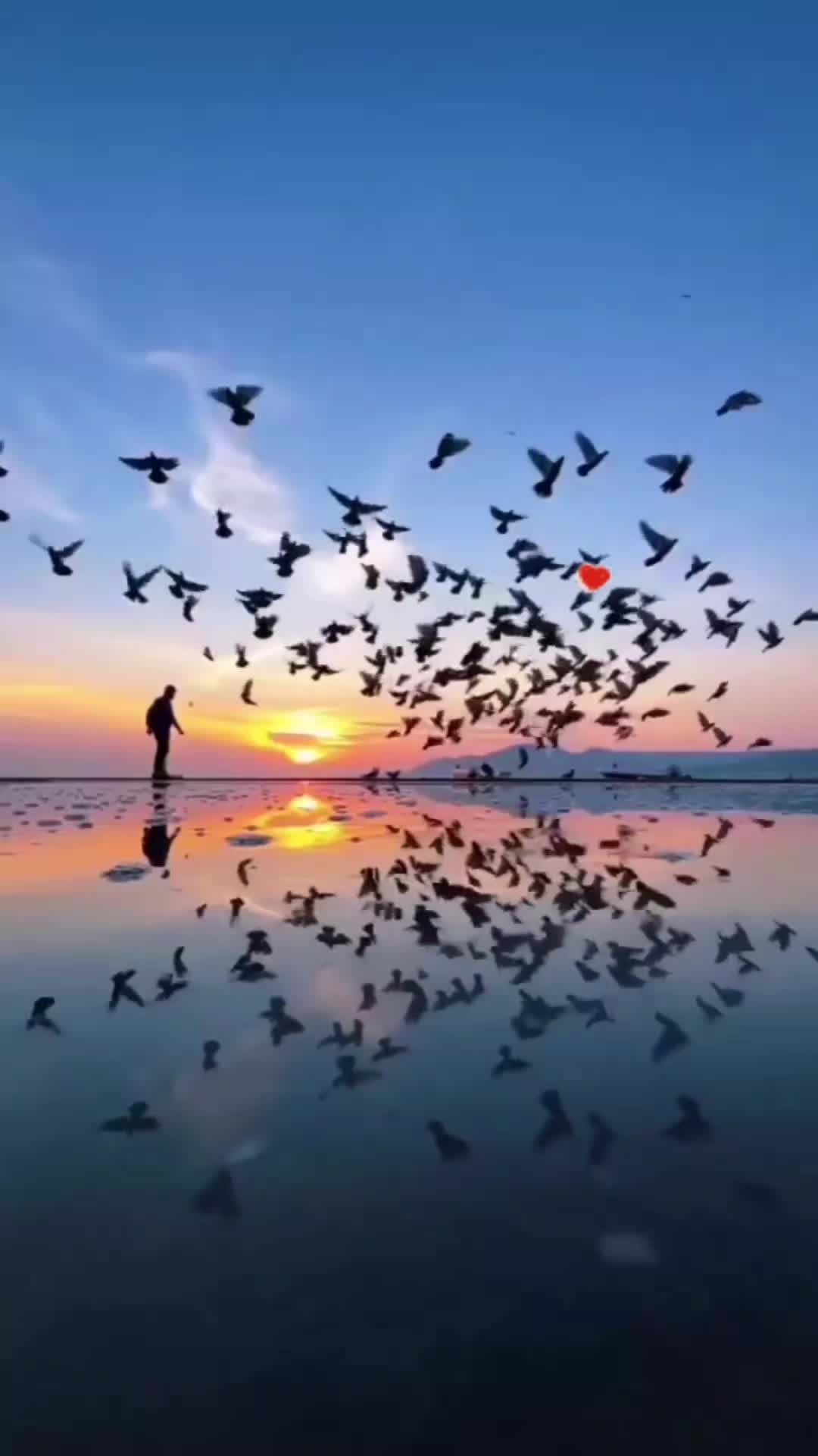 @Mehmet Sancili
