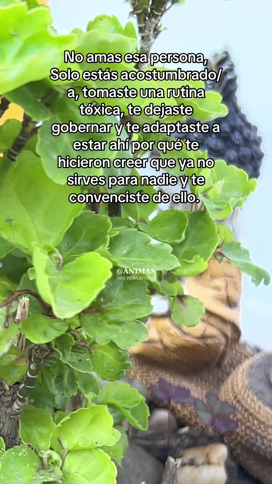 @Sebas_animasdelpurgatorio