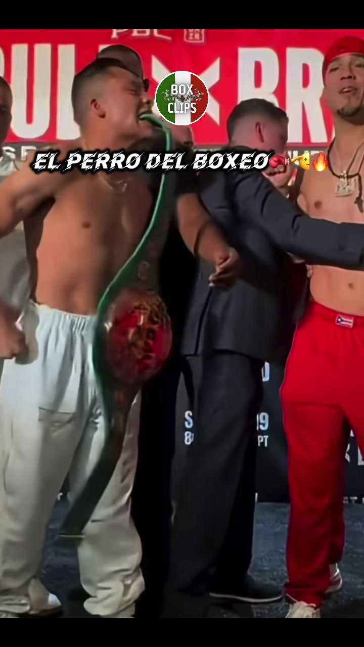@BOX CLIPS