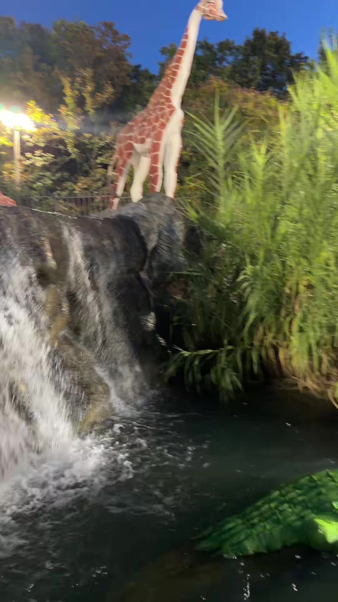 @GiGi de Jalisco