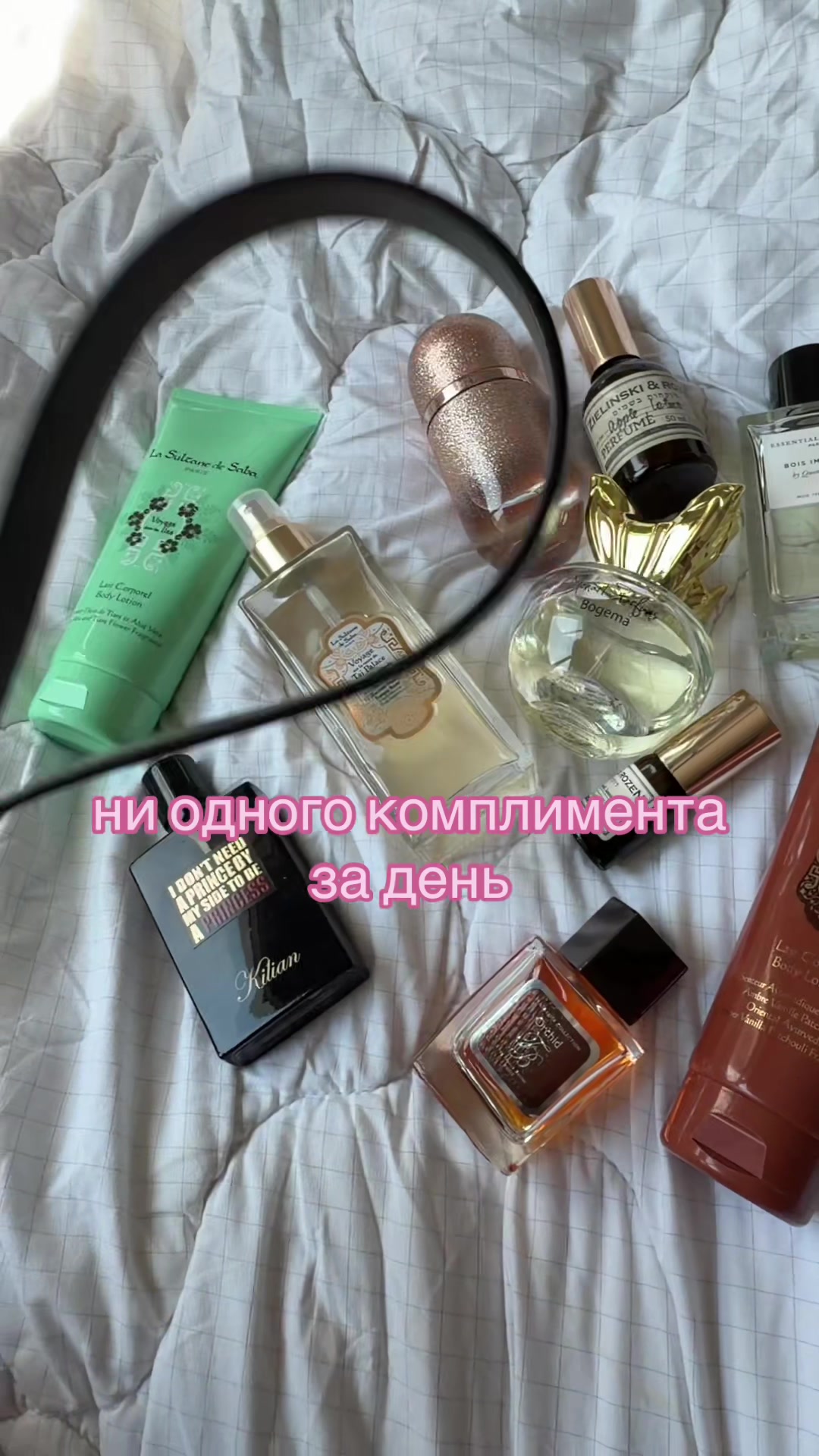 @kotechka ౨ৎ