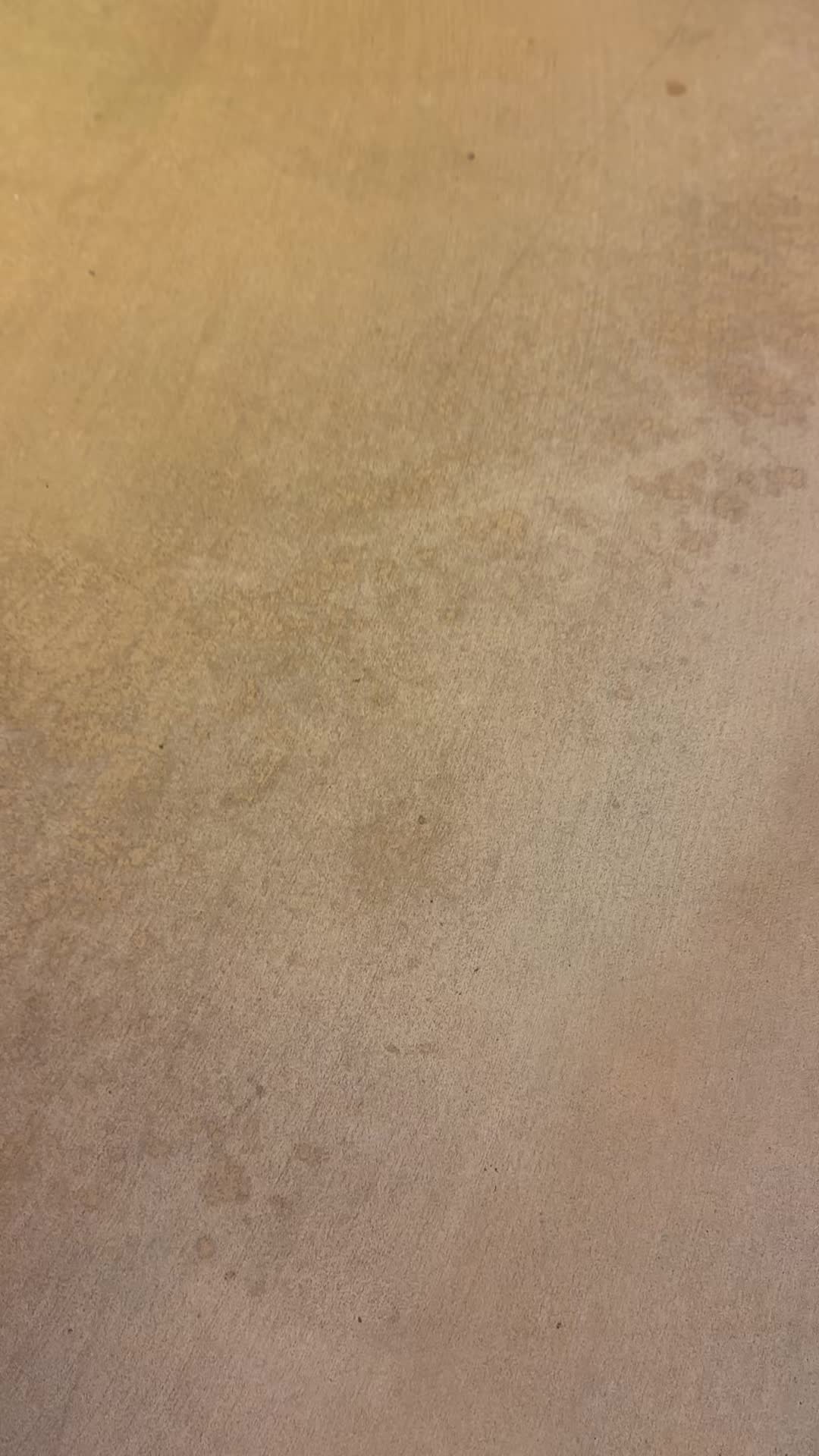 @Michelle D’Amico