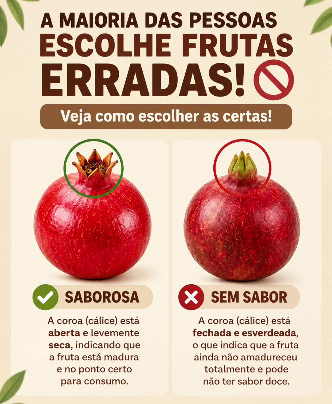 @Viva Bem Receitas Saudáveis