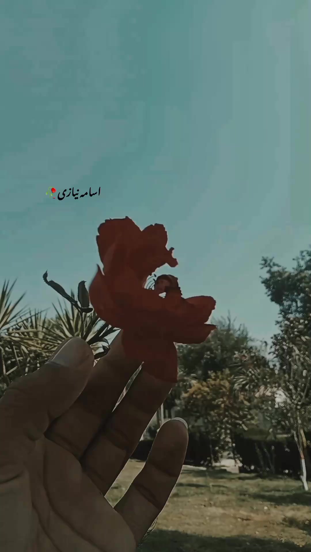 @اُسامہ 🍂