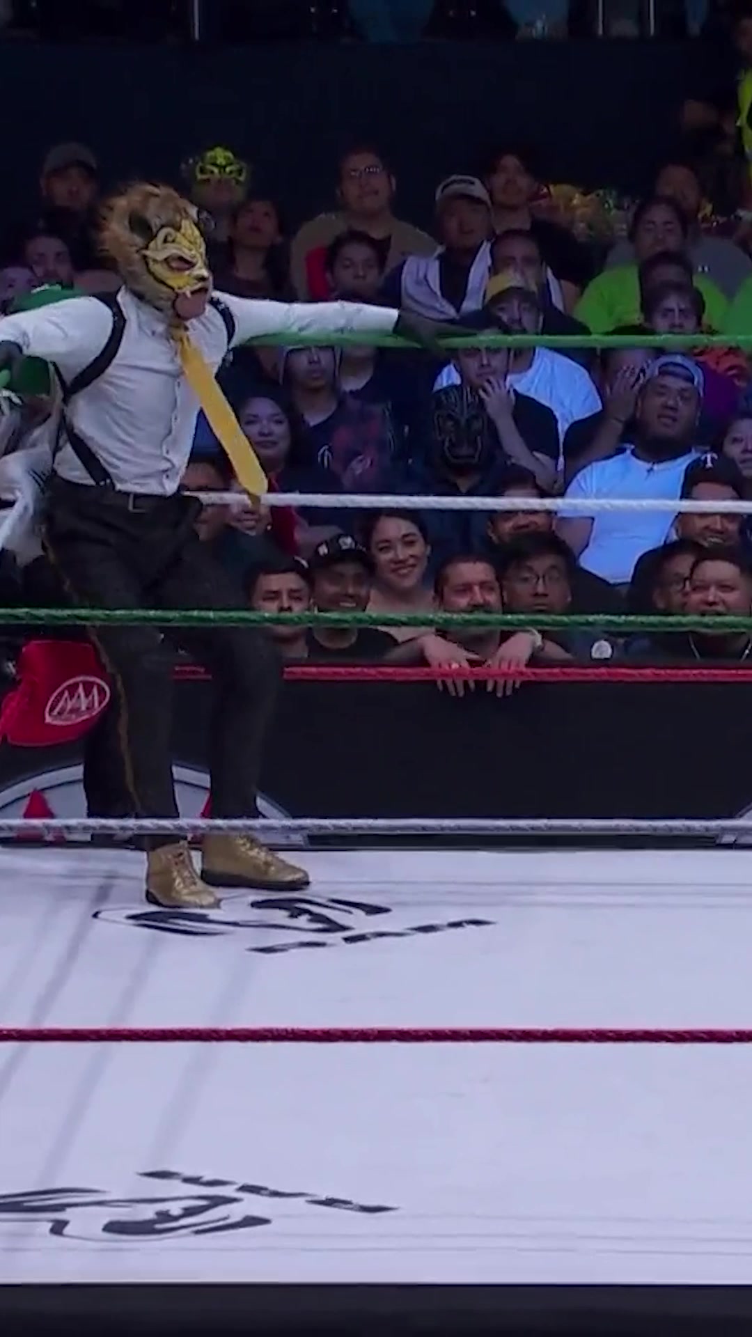 @Lucha Libre AAA
