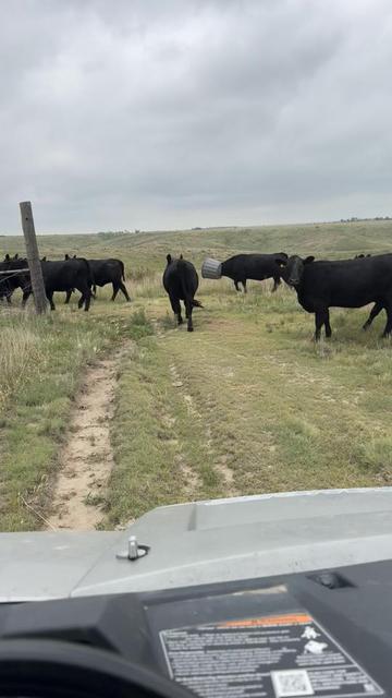 @Javier| Nebraska Ranch