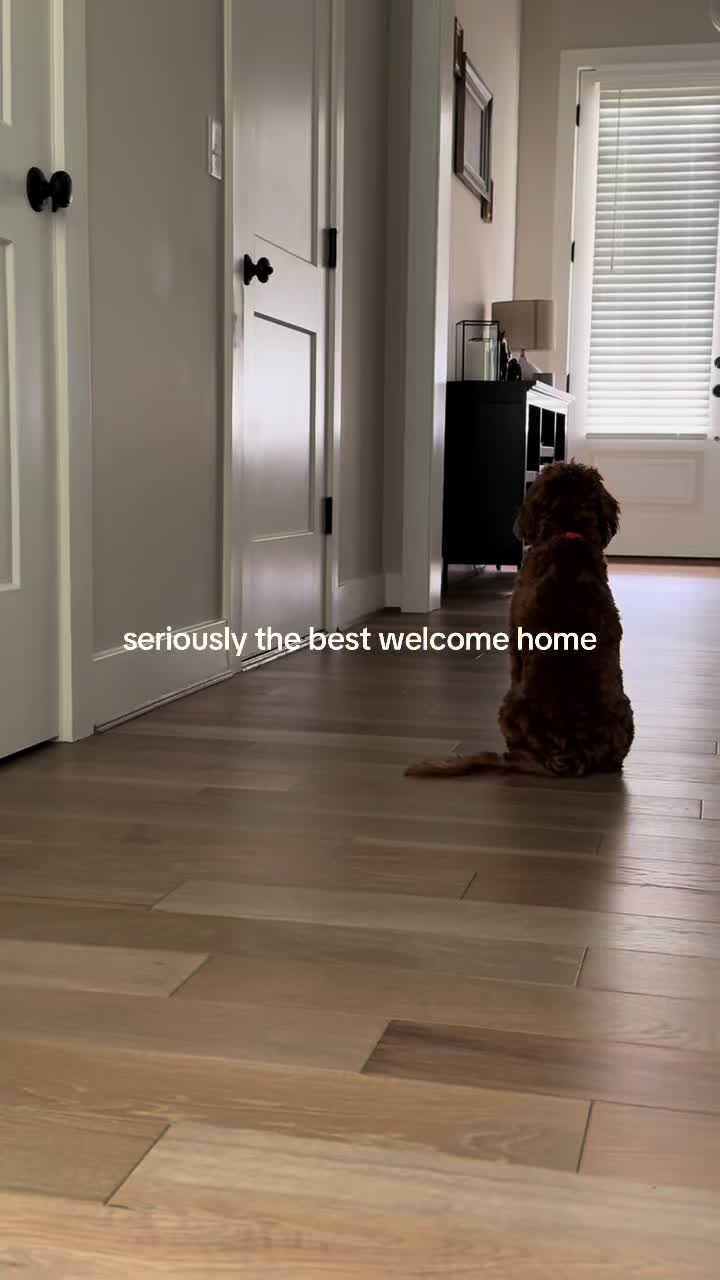 @LittleMissBella