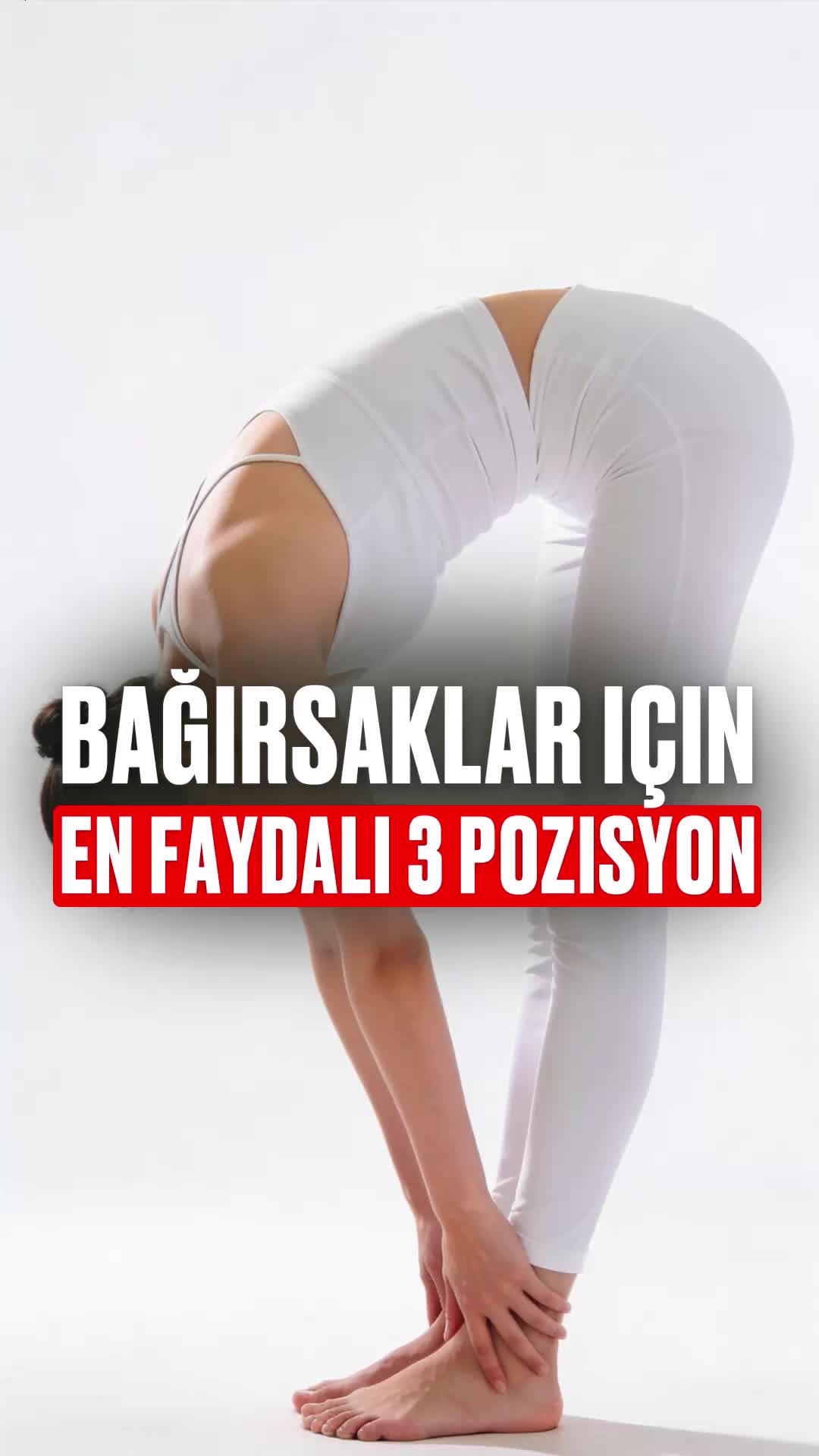 @Bolotov_Merkezi