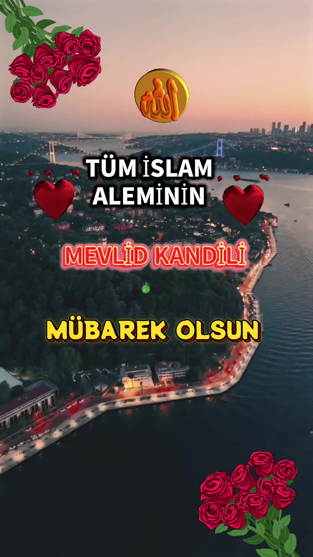 @@hayatsevinceguzel5537