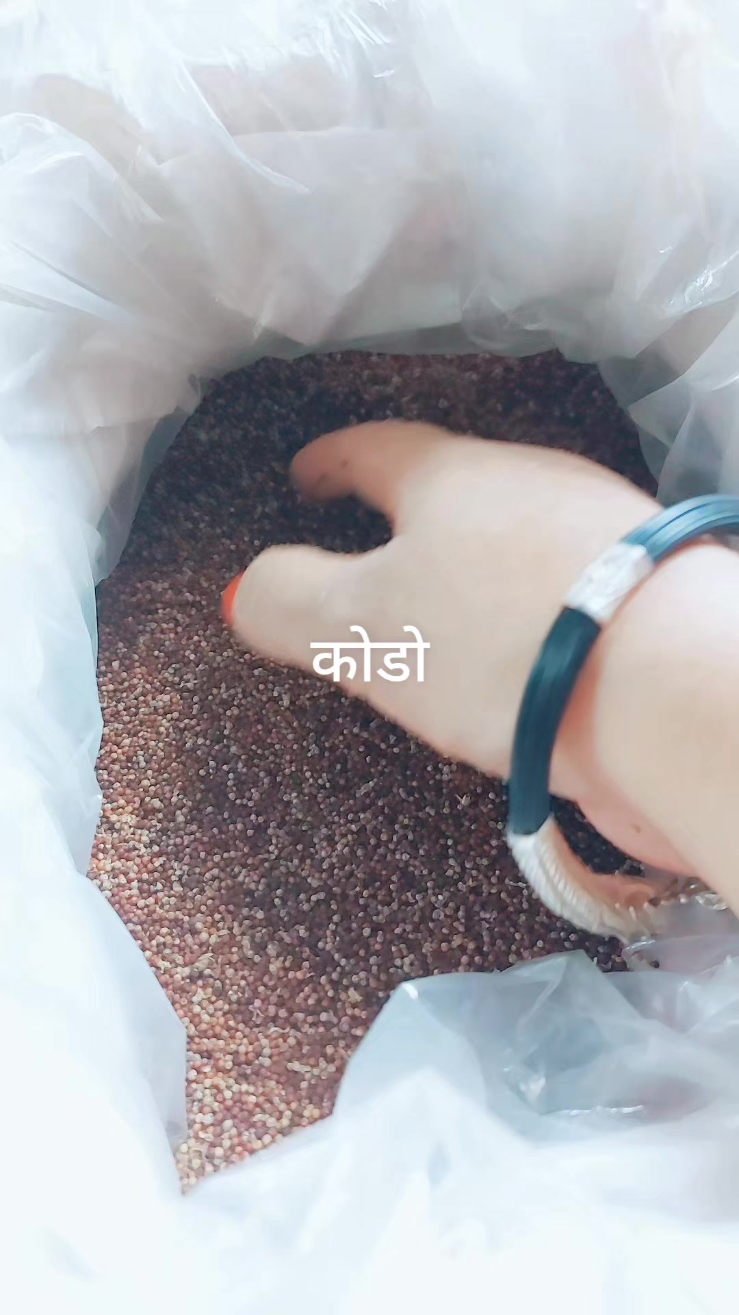 @अमृता मगर