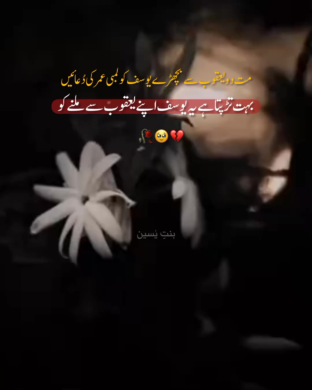 @𝟏𝟐 𝑴𝒂𝒓𝒄𝒉 ❤️🩹