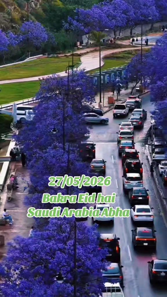 @mushraf Ali@461