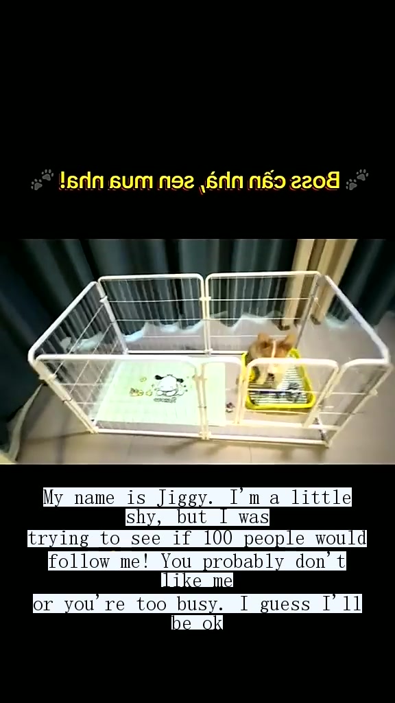 @vukk1004