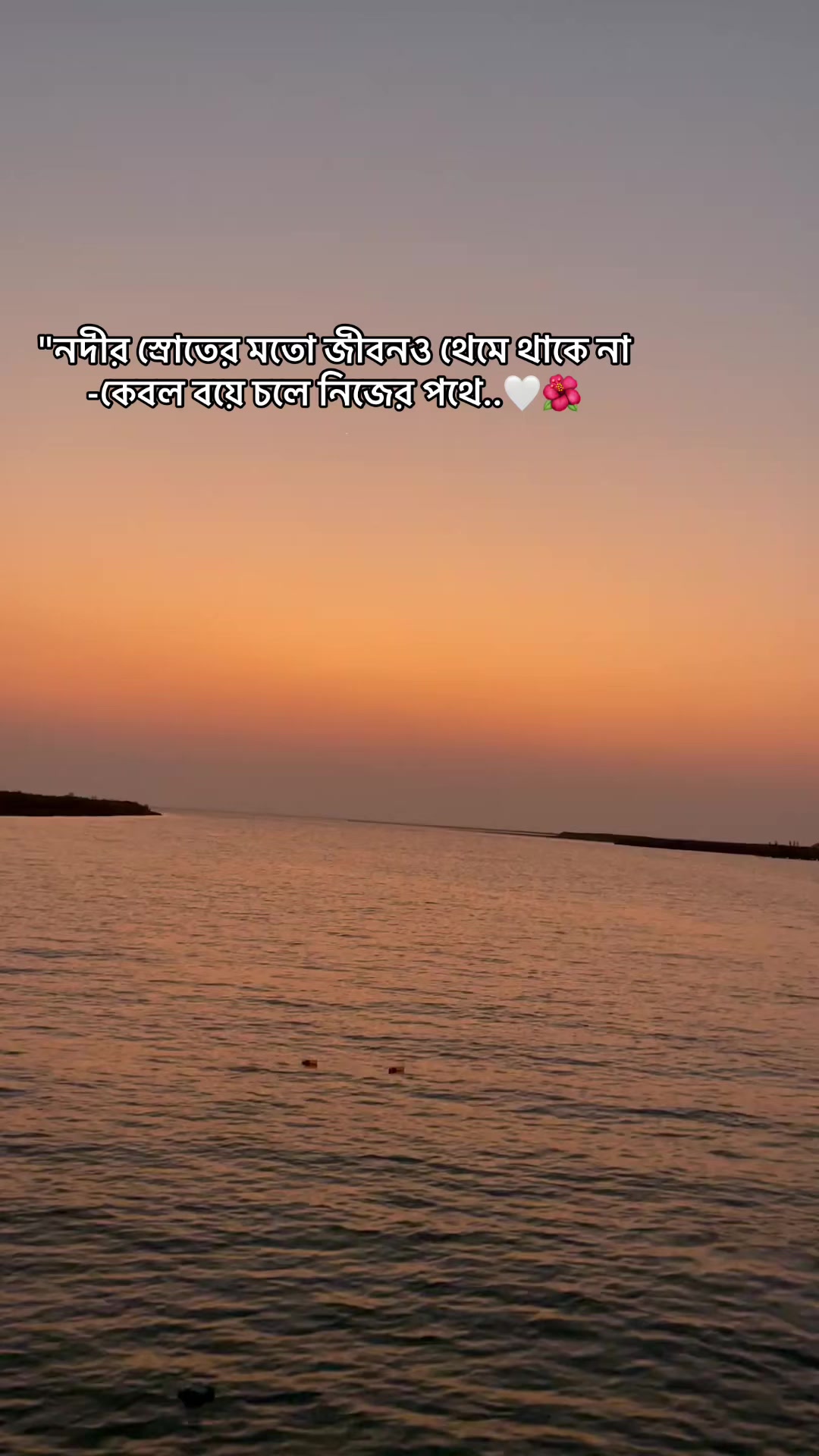 @ᰔᩚ … ፝֟፝֟A..メ 🕊️