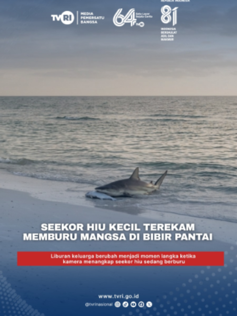 @tvrinasional