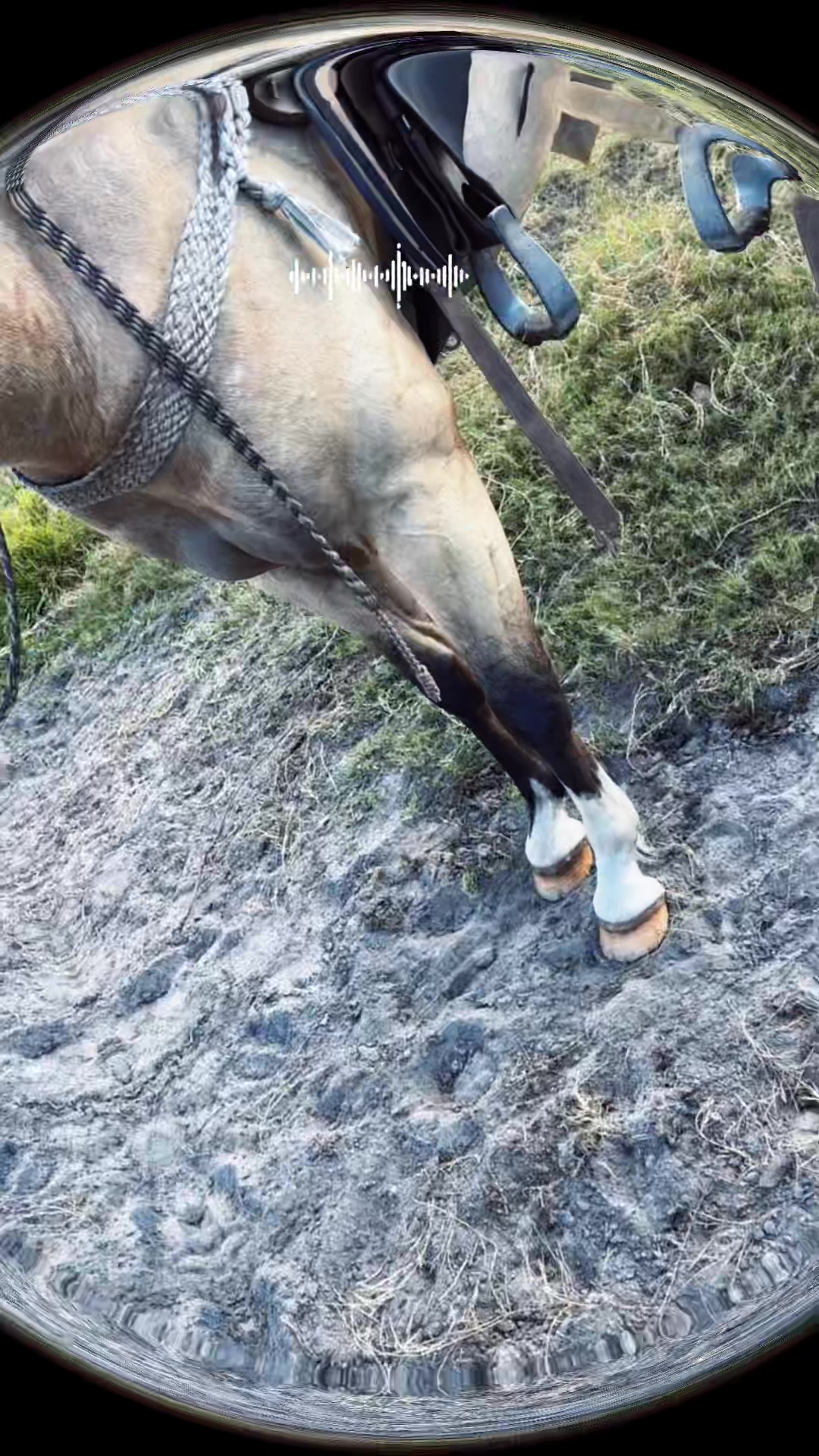 @Justmecowboy82