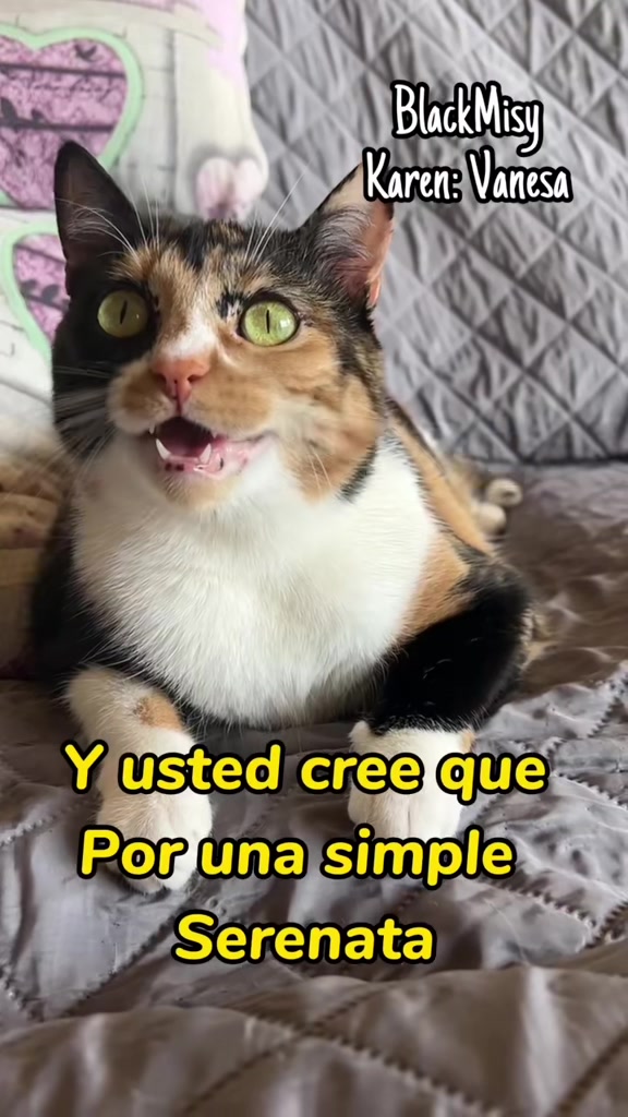 @BlackMisy