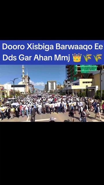 @Abdifatah Haji